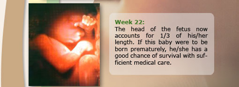 Week 22