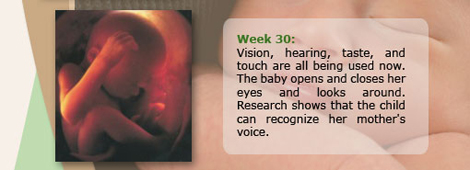 Week 30